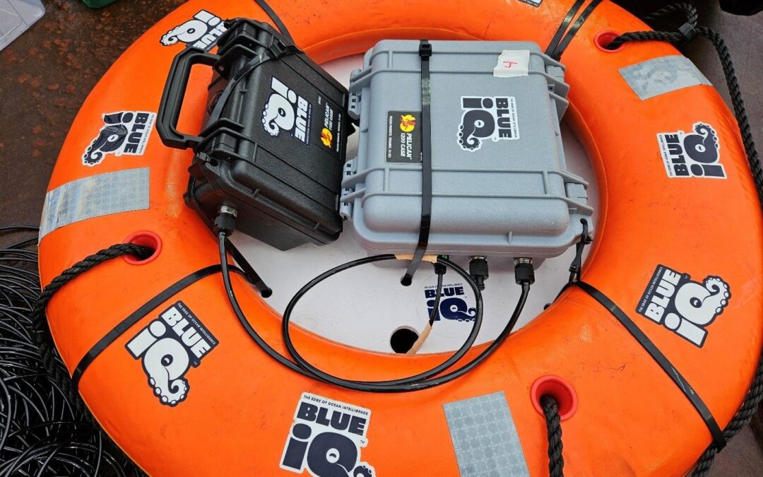 Listening Without Ears: How A Technology Startup Is Helping NOAA Unlock the Sounds of the Sea